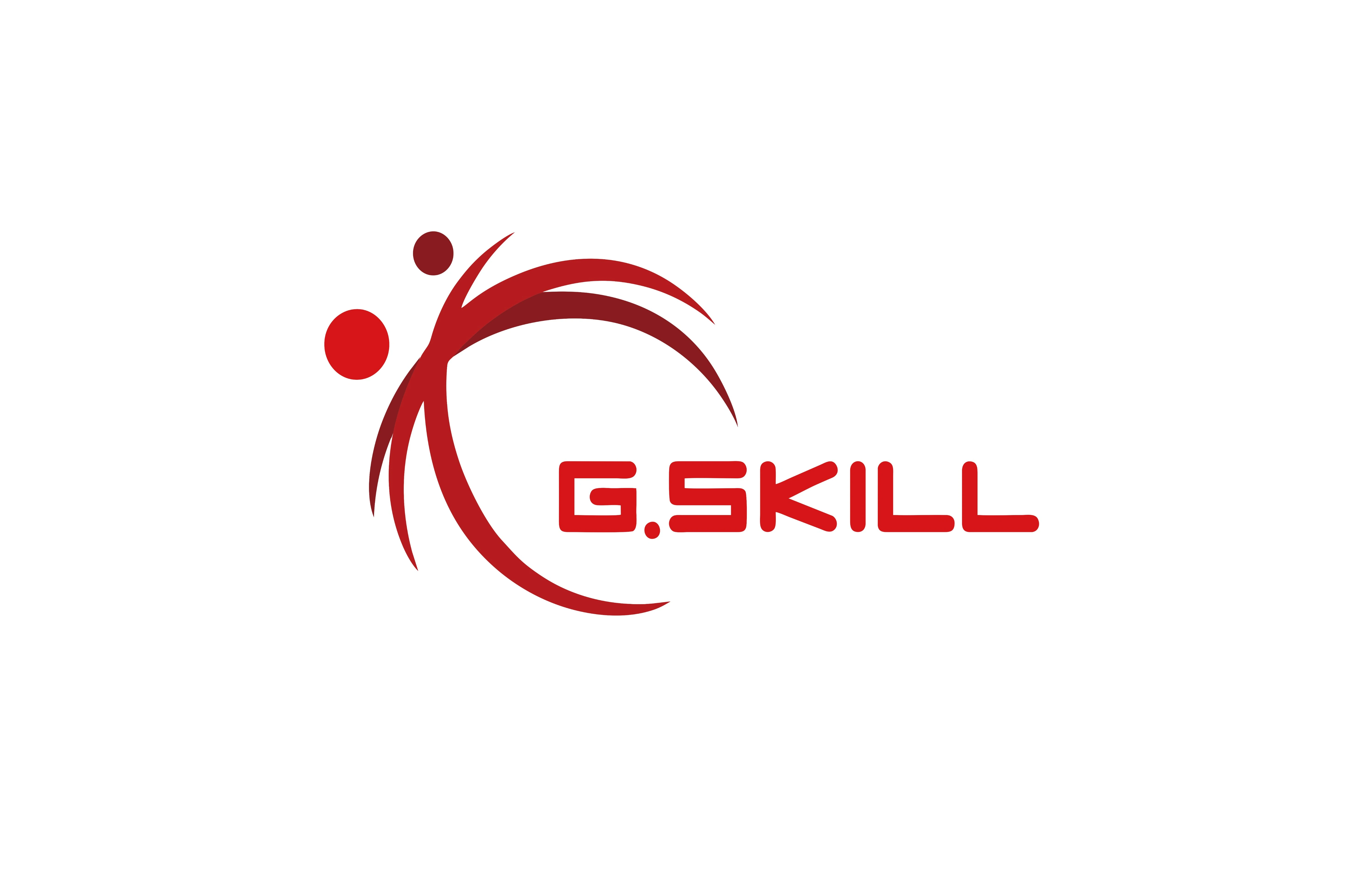 G.SKILL